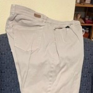 Gloria Vanderbilt Amanda 2.0 Jeans